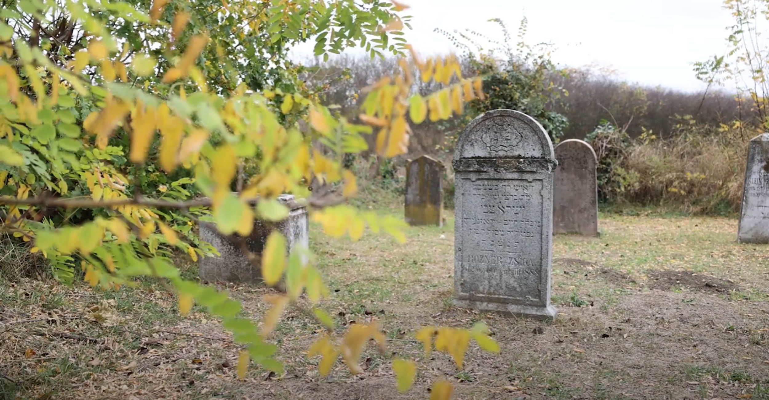 A dobozi zsidó temető és holokauszt emlékmű – Doboz