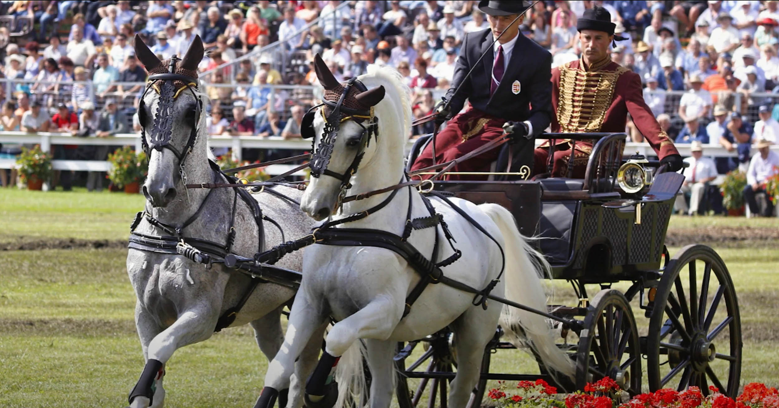 Füzesgyarmat városának gazdag lovas kultúrája – Füzesgyarmat